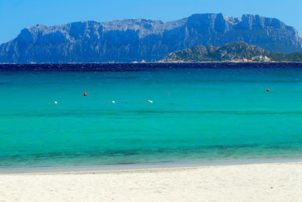 Appartamento Sardegna Casa A 250 Metri Dal Mare Con Piscina Olbia Esterno foto